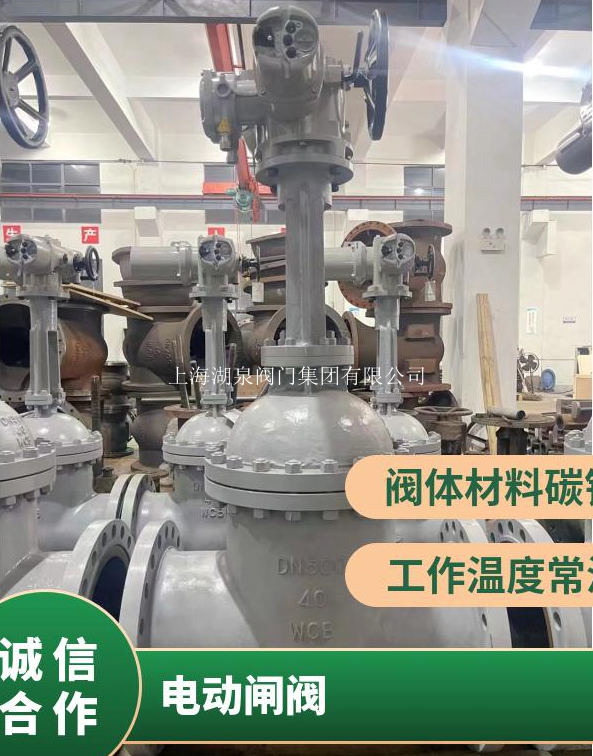 電動(dòng)閘閥廠(chǎng)家