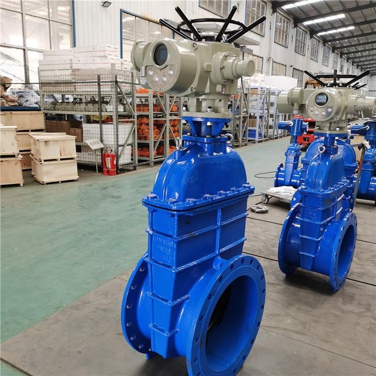 電動閘閥Z941h -64 DN500（石化行業、煉油廠、化工廠）