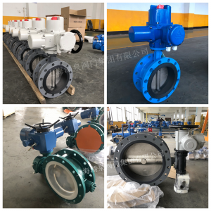 D943H-10C，DN350，PN10手電兩用法蘭電動(dòng)蝶閥